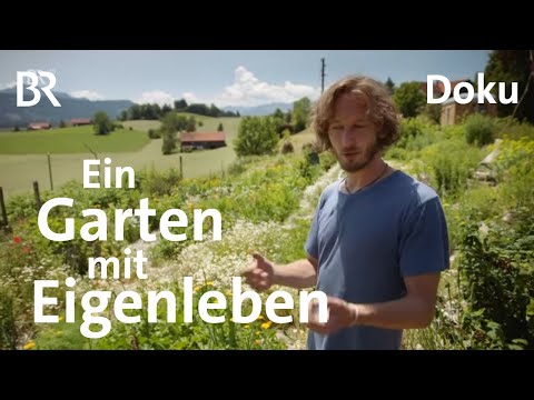 Video: 20 Naturfreundliche Kamin Ideen