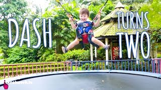 Dash Turns Two - Xiaxue's Guide To Life: EP164