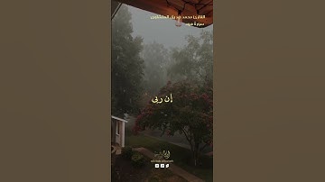 سورة هود القارش محمد صديق المنشاوى#تلاوة_خاشعة #المصحف #تلاوة #الكعبة #الحمدالله #اكسبلور