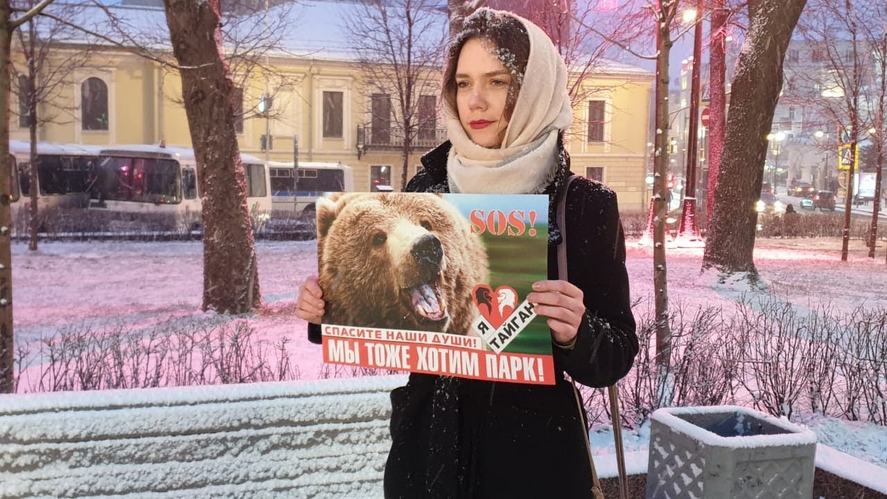 Пикеты в поддержку сафари-парка Тайган в Москве / LIVE 04.01.20