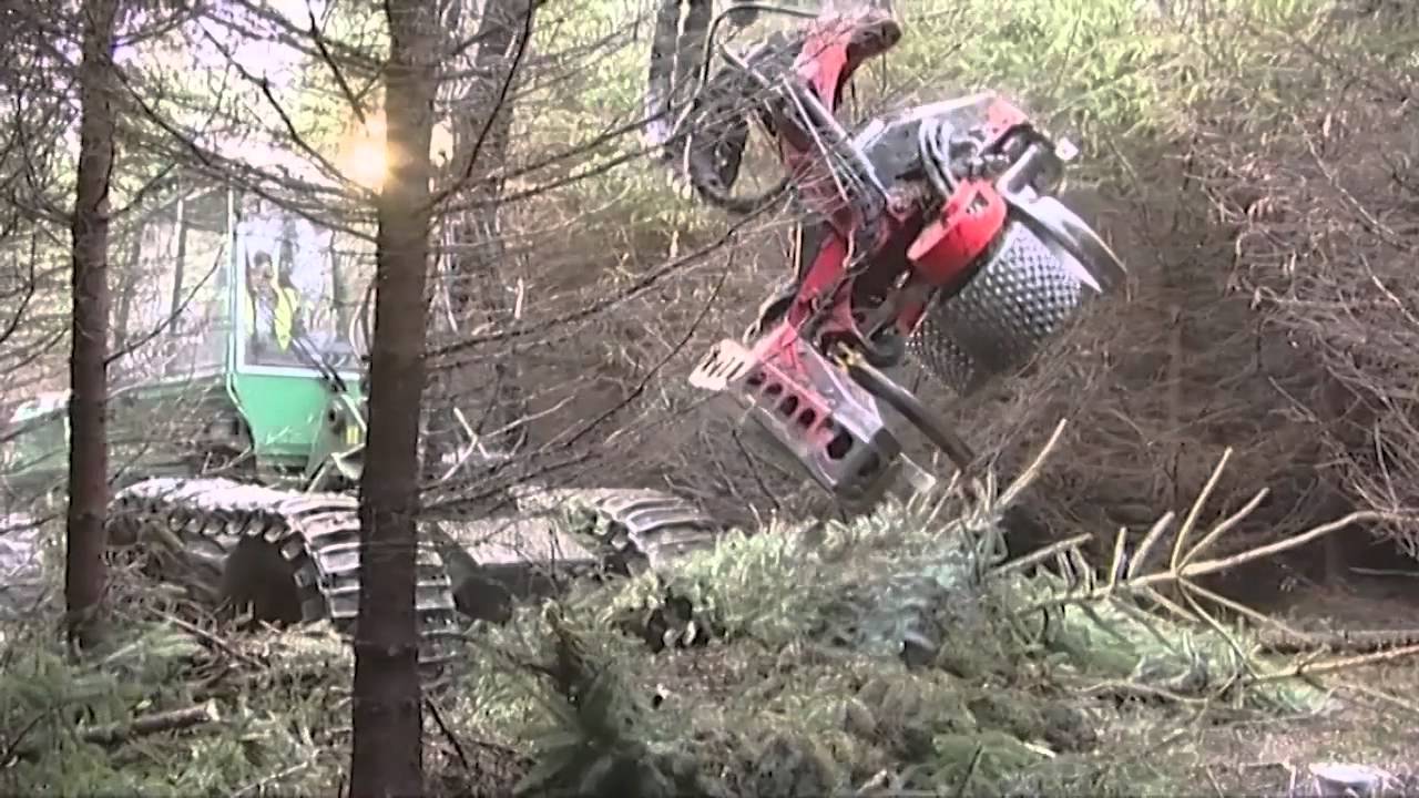 Energywood Chip Supply Chain