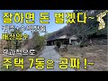 결과적으로 주택7동 공짜!~잘하면 돈 벌겠다~물좋고 공기좋고 계곡물 철철철~배산임수,이곳에서 귀촌+수익창출~건물219평 토지3140평 2억대~[땅지통]