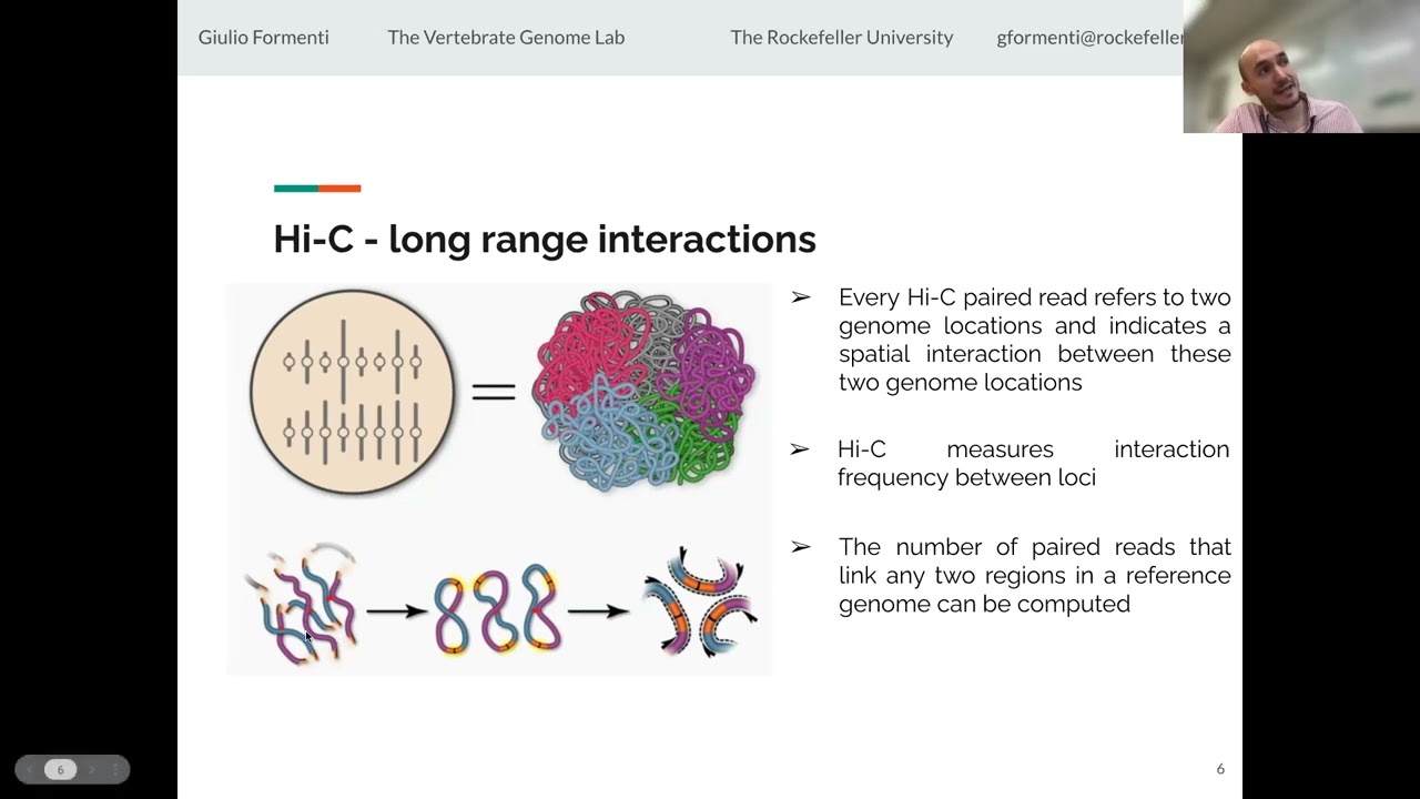 Where Will Genomes Take Us Next: How Chromosome-Scale Assemblies Are Unlocking New Biology
