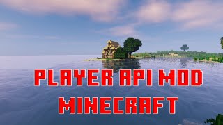 Minecraft Player API Mod 1.16.2 Download and Install Review