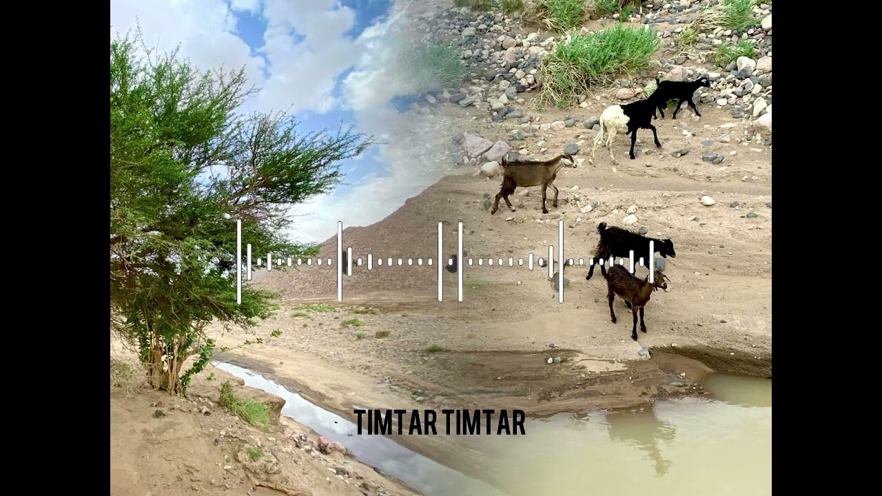 M.K Tamadrite - Talyat T’an Ingal