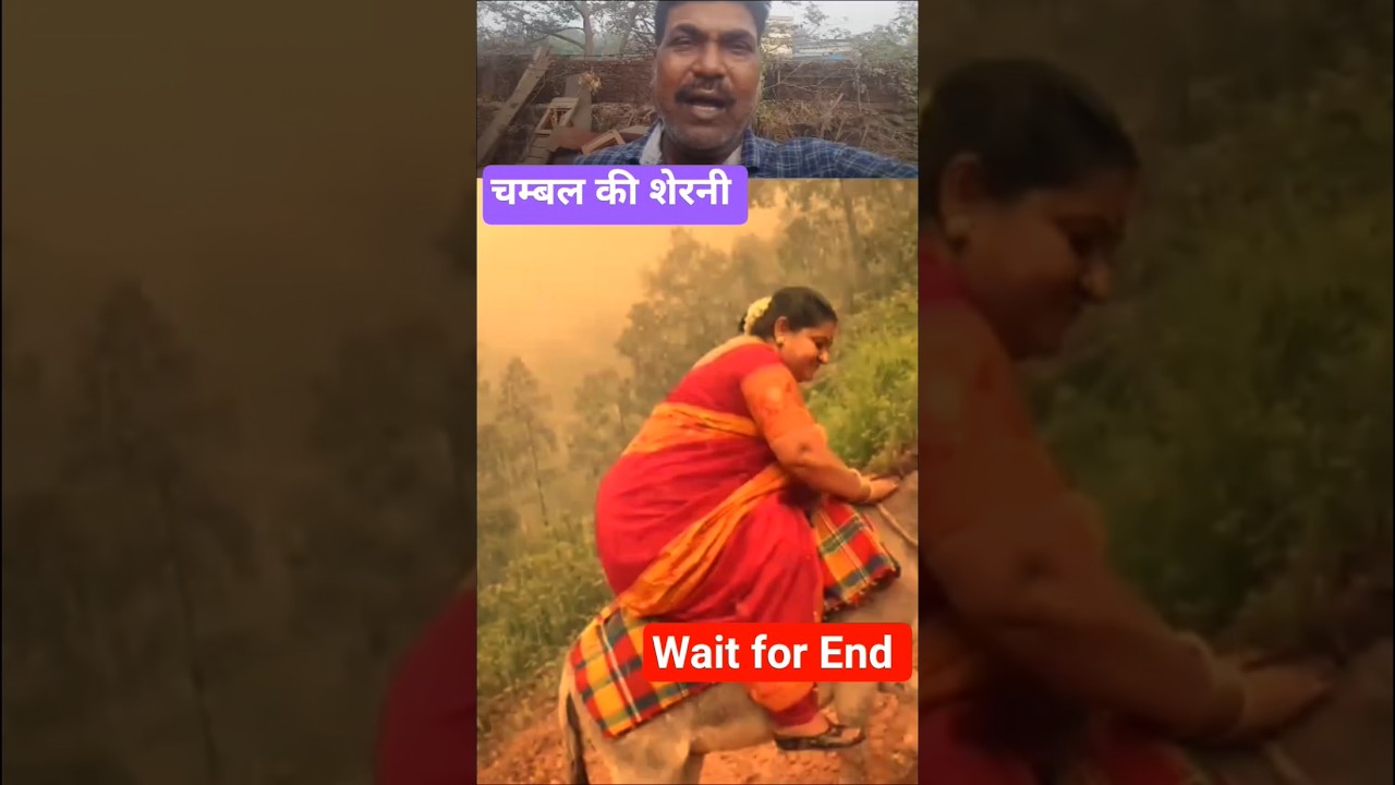 चम्बल की शेरनी 