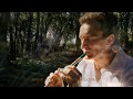 Flauta Irlandesa (Tin whistle) . Daniel Gelhen Cover .  A Missão .  CCO PRODUÇÕES . Morricone