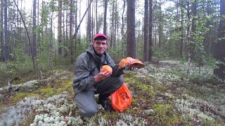 Поход За Грибами. Костюм Универсальный «Медведицца» Попал Под Грозу. На Обратном Пути Круто Повезло.