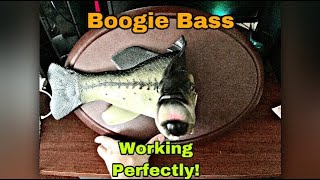 The Sensational Boogie Bass - Fixed!
Boogie Bass Working Perfectly! The Sensational Boogie Bass - Fixed!