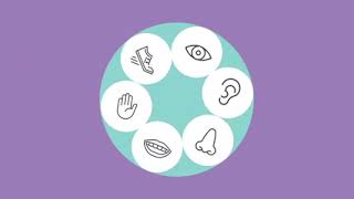 Soothe with 6 Senses