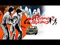Perros Callejeros | Official Trailer