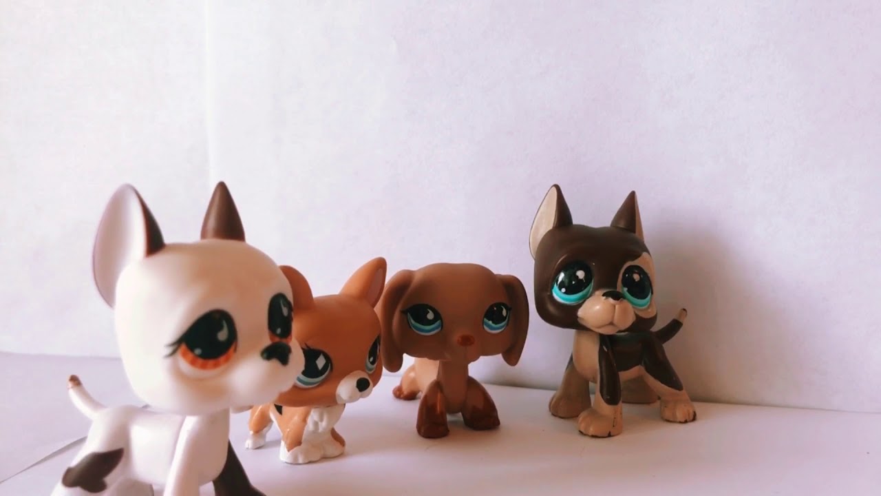 LpsDrama Queen intro YouTube