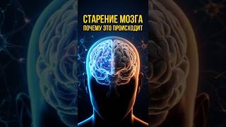 Причины старения мозга после 50+: что влияет на память, внимание и ясность мышления