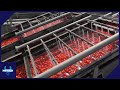 Most Satisfying Food Industry Machines &amp; Ingenious Tools ▶ 2 | MrTech