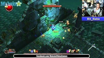 Torchlight: Black Palace fl.5