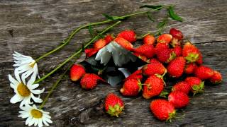 Floral Photo Still Life (HD1080p)