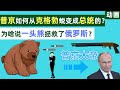 【动画】普京如何从一名克格勃特工蜕变成总统的？为什么说一头熊拯救了俄罗斯？