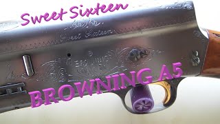 Browning Sweet 16