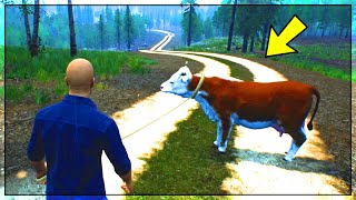 KUPILI SMO KRAVU - Ranch Simulator EP9