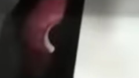 if a mimic gives chase...