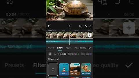 Module 3b: Working with Video_Filter & Adjustments