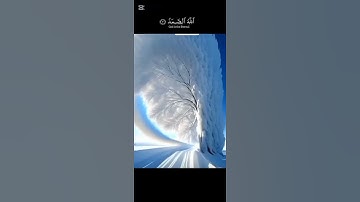 سوره الاخلاص بصوت الشيخ ماهر المعيقلي