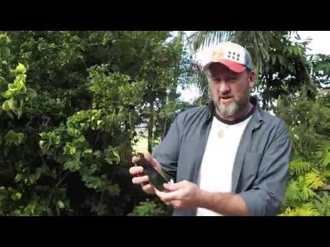 How to LIVE FREE w NEONTUFF. Fishing for Technology with Jack & Max