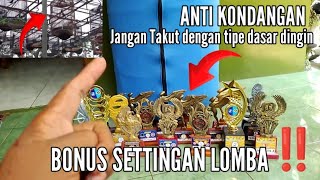 🔴 SIMPEL RAWATAN HARIAN MURAI BATU TIPE DASAR DINGIN | bonus SETTINGAN LOMBA ‼️