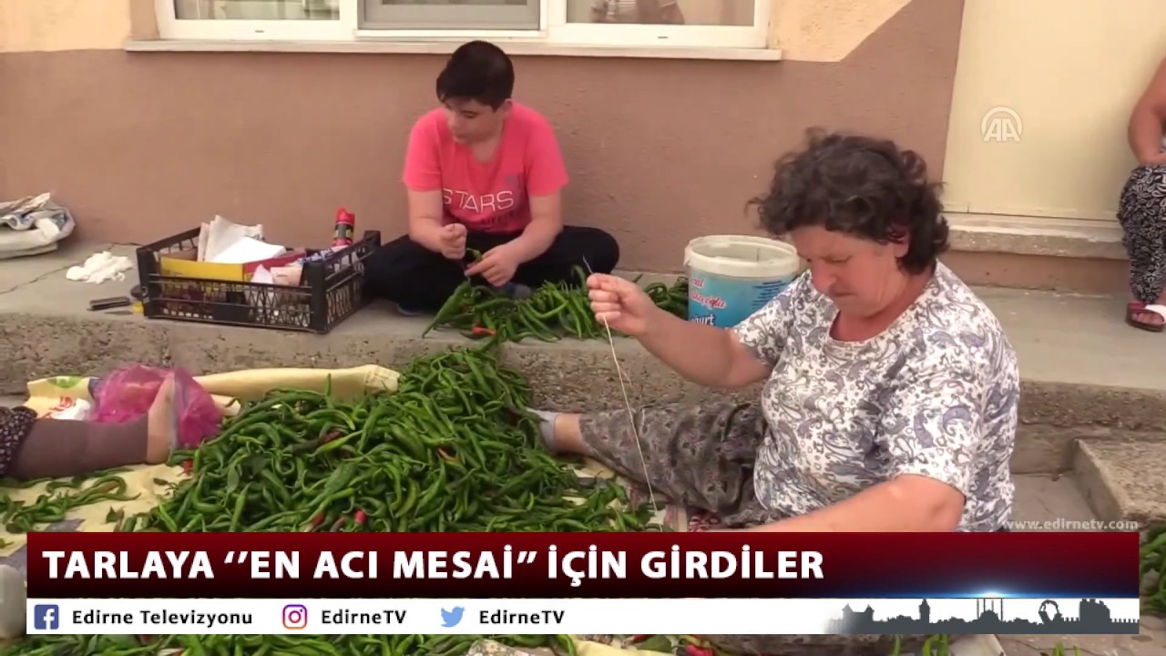 TARLAYA ‘’EN ACI MESAİ’’ İÇİN GİRDİLER sonos speakers
