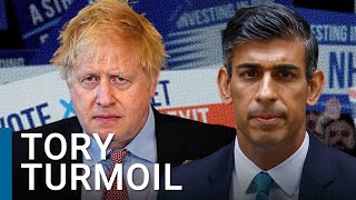 Why Boris Johnson’s resignation puts the Tories in ‘political turmoil’ | Vernon Bogdanor