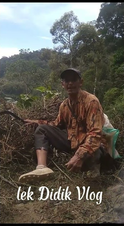 story wa lucu wong tani