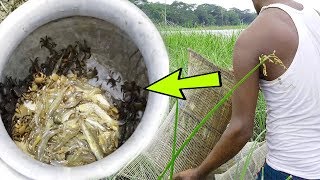 Boy Catching Giant Big Fish By Mud In The Dry Season