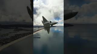 Famous F-22 Raptor "the Real" 5th Gen fighter goes inverted, rolls and loops in MSFS Wealth