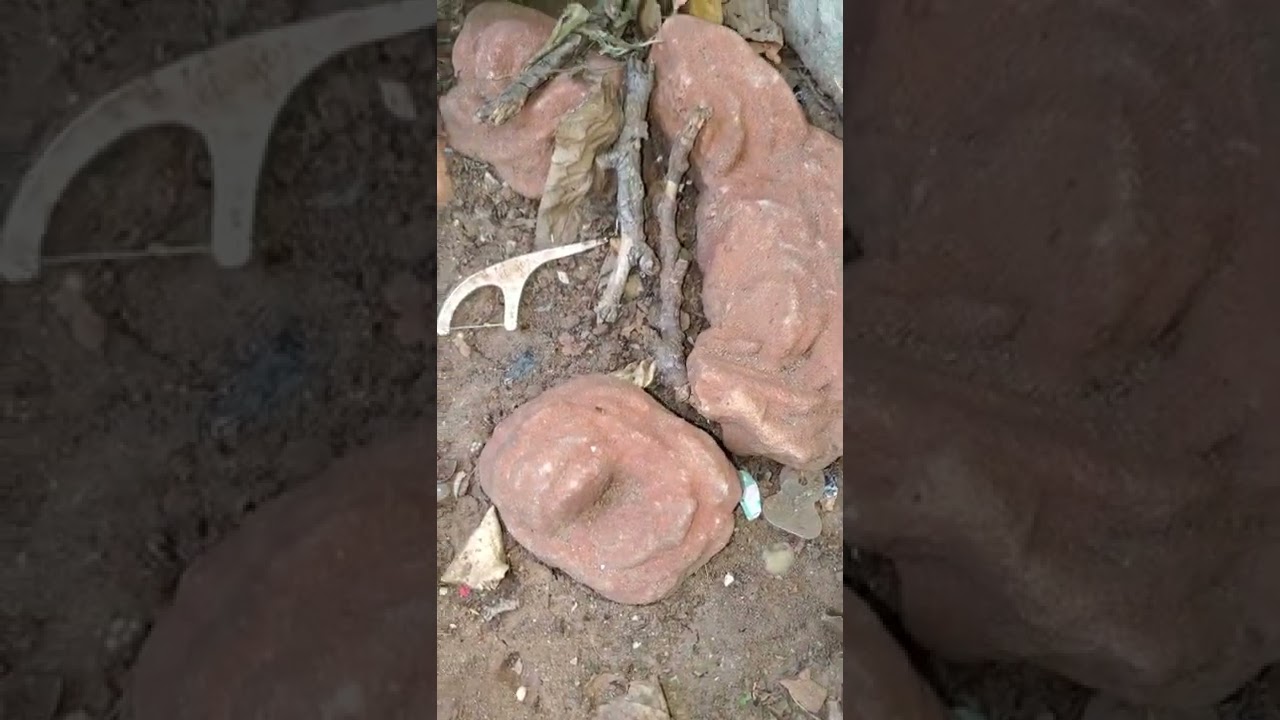 Fossils older than the dinosaurs  And Oklahoma rocks