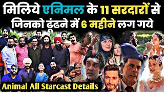 Animal Movie Starcast Details Names unknown facts Tripti dimri all Sardars interesting facts trivia
