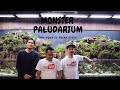 ONE OF THE BIGGEST PALUDARIUM WE EVER MADE !!! WITH LUCKY HAKIM