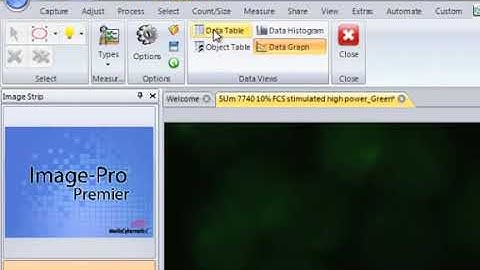 Measure & Track Intensity Over Time Video Tutorial   Image Pro Premier