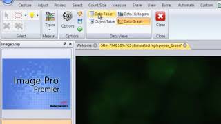 Measure & Track Intensity Over Time Video Tutorial   Image Pro Premier