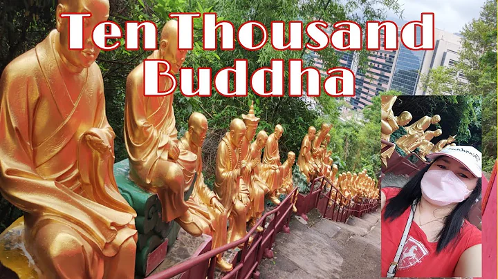 How to go to Ten Thousand Buddha Sha Tin Hongkong - DayDayNews