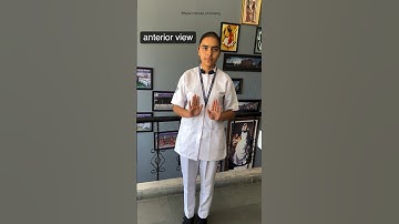 BASIC ANATOMICAL MOVEMENTS☝🏻 follow for more videos and information