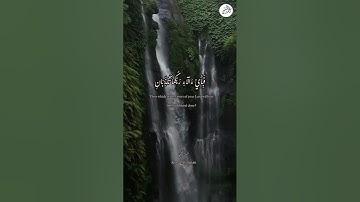 القارئ أحمد الشلبي من سورة الرحمن - Ahmad Al-Shalabi