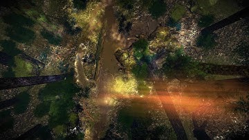 Forest Road - animated battle map for VTTS. DnD, Pathfinder and other systems