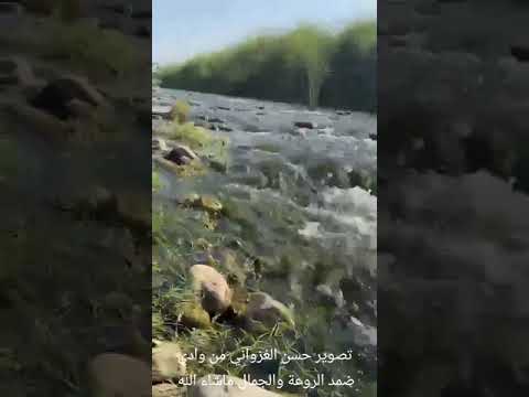 تصوير حسن الغزواني ابو أحمد من وادي ضمد