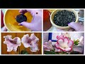 Глоксиния / Как сажать клубни глоксиний / Подробное видео про посадку / Комнатный цветы