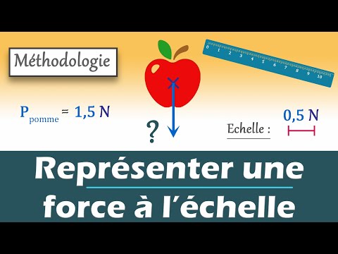 Représenter une FORCE