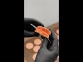Unlock The Secret To Irresistible Peach Macarons In Just 5 Easy Steps Unlock The Secret To Irresistible Peach Macarons In Just 5 Easy Steps