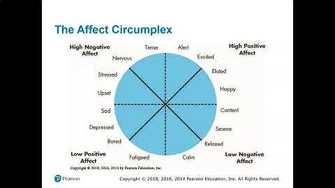 Introduction to OB Chapter 4 Video