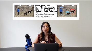 YOLO Explained: Real-Time Object Detection #objectdetection  #computervision #ai