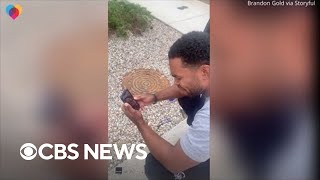 Athlete tells mom he'll play pro baseball screenshot 5