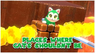 Places Where Cats Shouldn't Be | Bowser's Fury